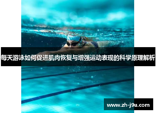 每天游泳如何促进肌肉恢复与增强运动表现的科学原理解析