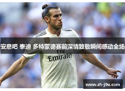 安息吧 泰迪 多特蒙德赛前深情致敬瞬间感动全场
