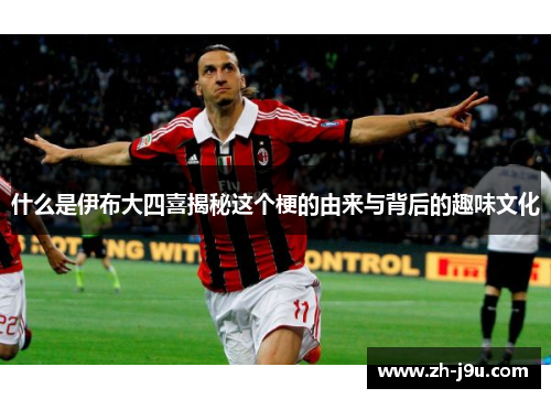 什么是伊布大四喜揭秘这个梗的由来与背后的趣味文化
