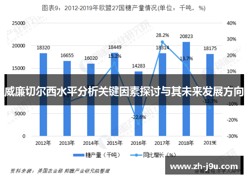 威廉切尔西水平分析关键因素探讨与其未来发展方向