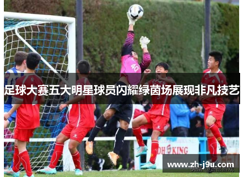 足球大赛五大明星球员闪耀绿茵场展现非凡技艺